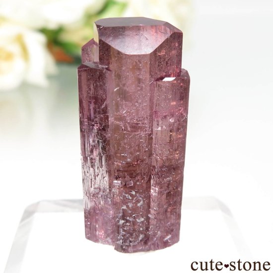  Malkhan ȥޥθ No.6μ̿1 cute stone