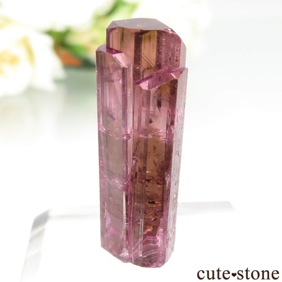  Malkhan ȥޥθ No.6μ̿2 cute stone