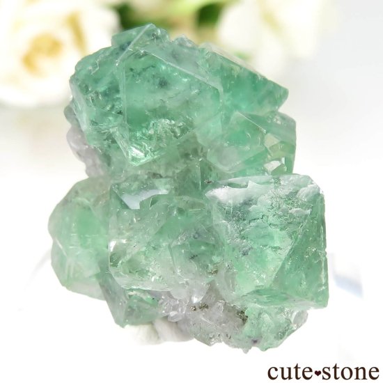 ڥ롼 Milpo mine ե饤ȡġѥ饤Ȥθ No.1μ̿0 cute stone