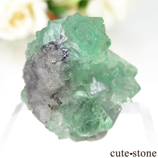 ڥ롼 Milpo mine ե饤ȡġѥ饤Ȥθ No.1μ̿1 cute stone