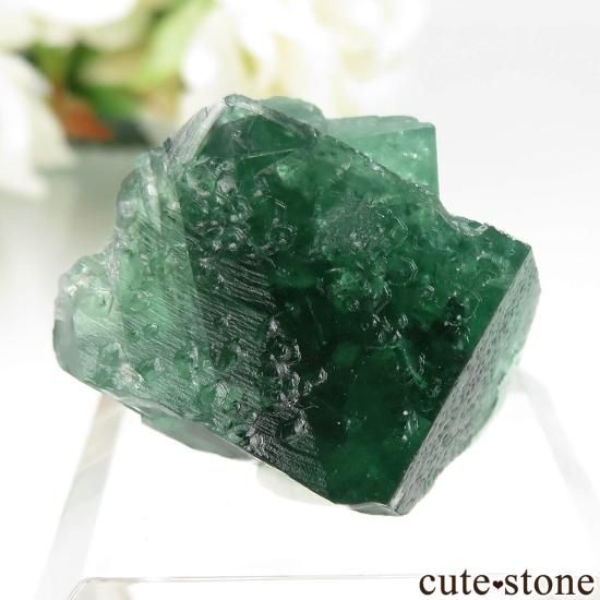 Diana Maria鉱山 Druzy Dreams Pocket産 蛍光 フローライトの
