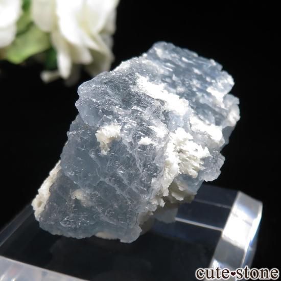 ᥭ Dinamita 쥹ȡʥå󥰡ˤθ No.1μ̿1 cute stone