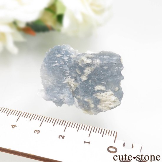 ᥭ Dinamita 쥹ȡʥå󥰡ˤθ No.1μ̿2 cute stone