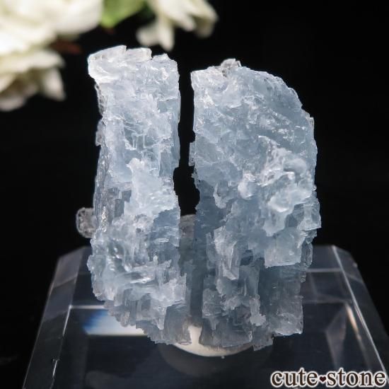 メキシコ Dinamita産 セレスタイト（エッチング）の原石 No.2