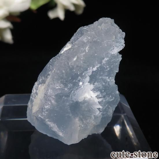 ᥭ Dinamita 쥹ȡʥå󥰡ˤθ No.3μ̿1 cute stone