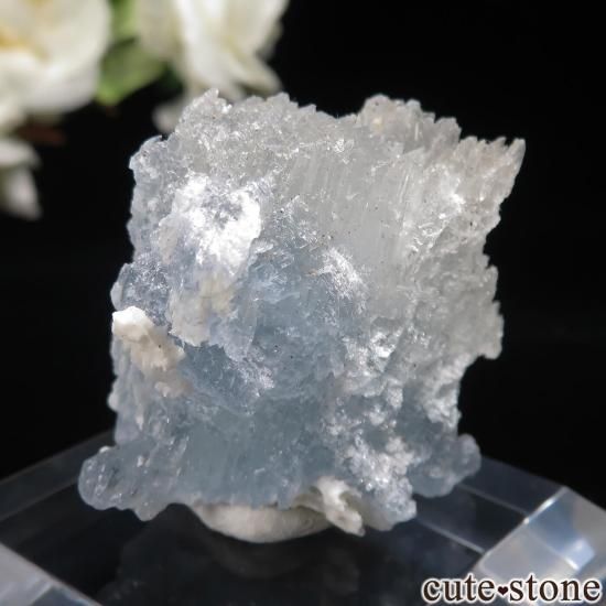 ᥭ Dinamita 쥹ȡʥå󥰡ˤθ No.4μ̿1 cute stone