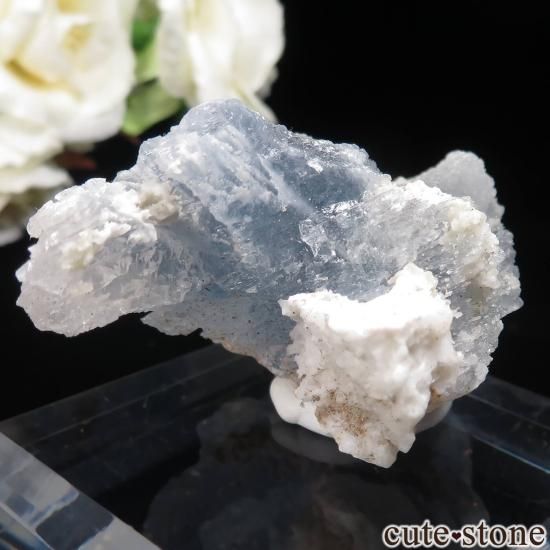 ᥭ Dinamita 쥹ȡʥå󥰡ˤθ No.6μ̿1 cute stone