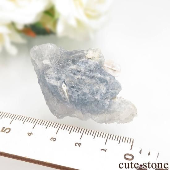 ᥭ Dinamita 쥹ȡʥå󥰡ˤθ No.6μ̿2 cute stone