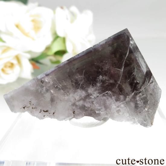 󥰥ɡʥꥹ Greenlaws MineΥե饤Ȥθ No.5