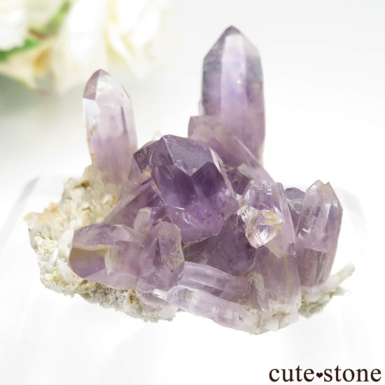 ᥭ  ᥸ȡĤθСʥ饹 No.23μ̿0 cute stone