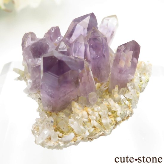 ᥭ  ᥸ȡĤθСʥ饹 No.23μ̿3 cute stone