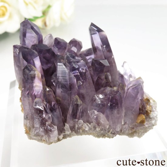 ᥭ  ᥸ȤθСʥ饹 No.24μ̿1 cute stone