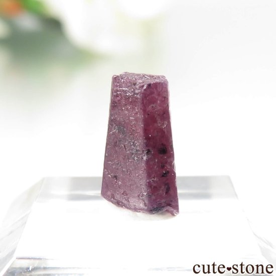 󥶥˥ Winza ʥӡ - եˤθ No.3μ̿0 cute stone