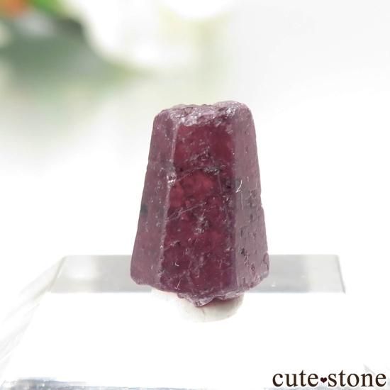 󥶥˥ Winza ʥӡ - եˤθ No.3μ̿1 cute stone