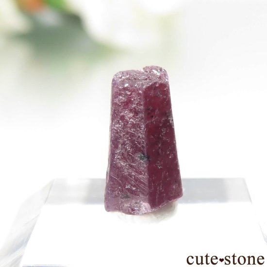 󥶥˥ Winza ʥӡ - եˤθ No.3μ̿2 cute stone