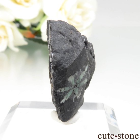 ӥ La Pita Mine ȥԥåɤդ No.2μ̿0 cute stone