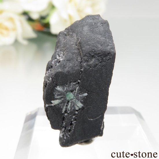 ӥ La Pita Mine ȥԥåɤդ No.2μ̿2 cute stone