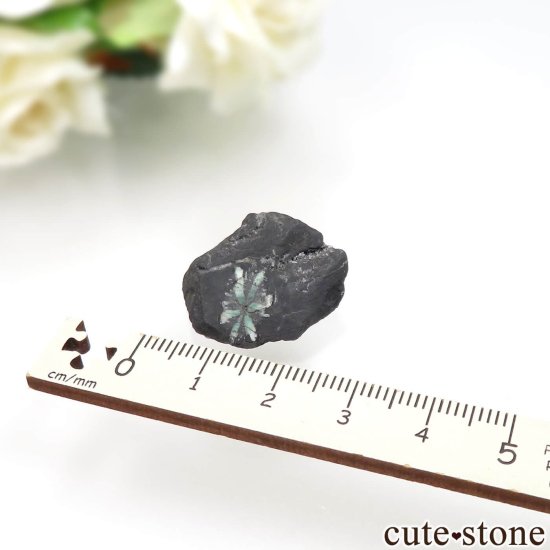 ӥ La Pita Mine ȥԥåɤդ No.2μ̿5 cute stone
