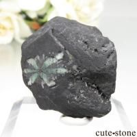 ӥ La Pita Mine ȥԥåɤդ No.2β