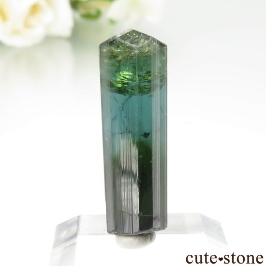 ֥饸 Aracuai ֥롼ߥ꡼ȥޥθ No.1μ̿0 cute stone