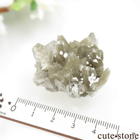 ֥饸 Linopolis ޥоˤθ No.1μ̿2 cute stone
