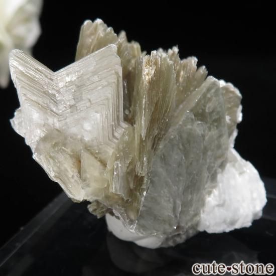 ֥饸 Linopolis ޥоˤθ No.2μ̿1 cute stone