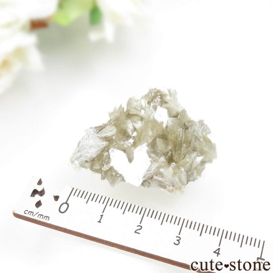 ֥饸 Linopolis ޥоˤθ No.3μ̿2 cute stone