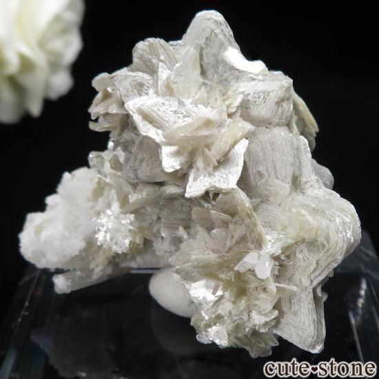 ֥饸 Linopolis ޥоˤθ No.5