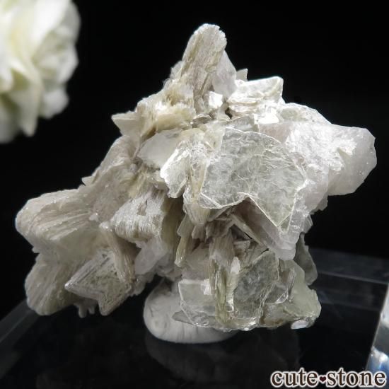 ֥饸 Linopolis ޥоˤθ No.5μ̿1 cute stone