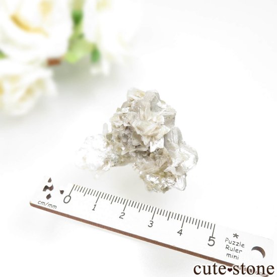 ֥饸 Linopolis ޥоˤθ No.5μ̿2 cute stone