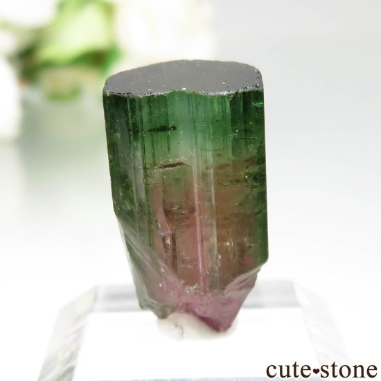 ֥饸 Jenipapo ȥޥθ No.2μ̿1 cute stone