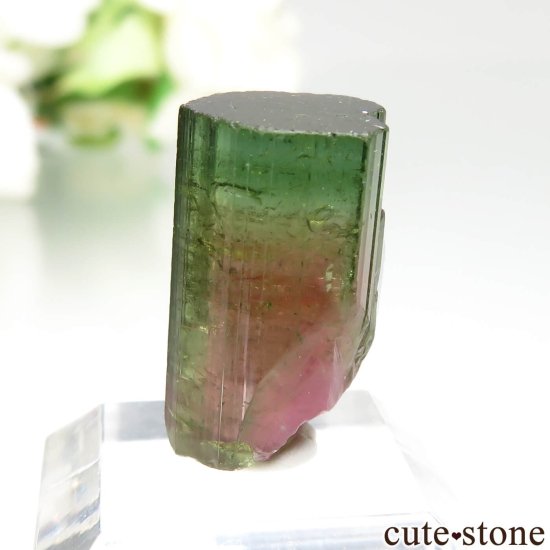 ֥饸 Jenipapo ȥޥθ No.2μ̿2 cute stone