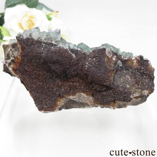 󥰥 Heights Mine ե饤Ȥθ No.2μ̿1 cute stone