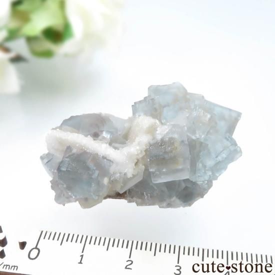 ڥ La Collada de atras 饤ȥ֥롼ե饤Ȥθ No.1μ̿5 cute stone