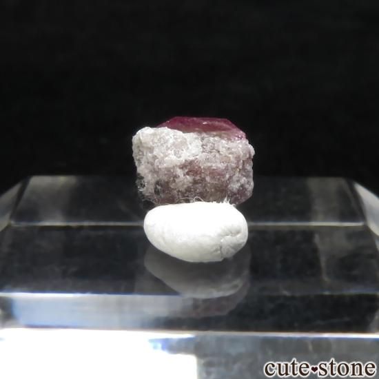 ꥫ 楿 Juab åɥ٥ӥӥȤθ No.1μ̿1 cute stone