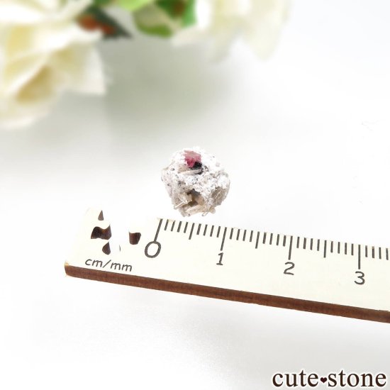 ꥫ 楿 Juab åɥ٥ȥѡӥӥȤθ No.4μ̿3 cute stone