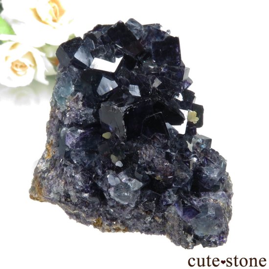 ʥߥӥ Okorusu Mine ե饤ȡĤθ No.35μ̿0 cute stone