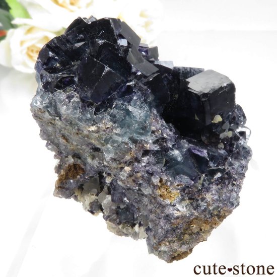 ʥߥӥ Okorusu Mine ե饤ȡĤθ No.35μ̿1 cute stone