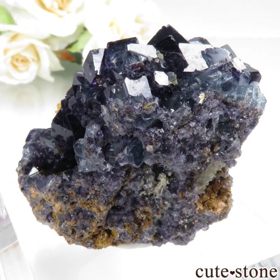 ʥߥӥ Okorusu Mine ե饤ȡĤθ No.35μ̿2 cute stone