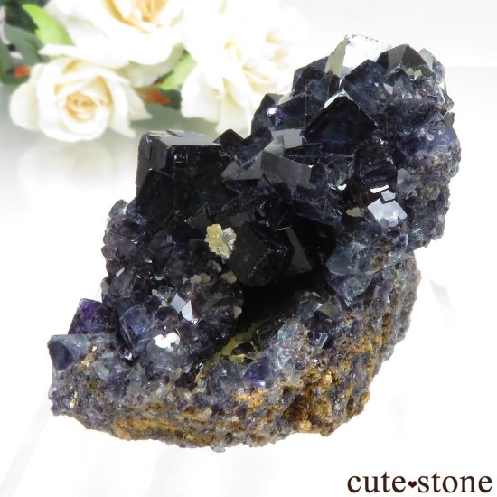 ʥߥӥ Okorusu Mine ե饤ȡĤθ No.35μ̿3 cute stone
