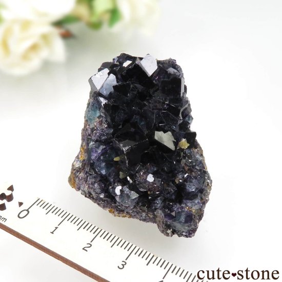 ʥߥӥ Okorusu Mine ե饤ȡĤθ No.35μ̿5 cute stone