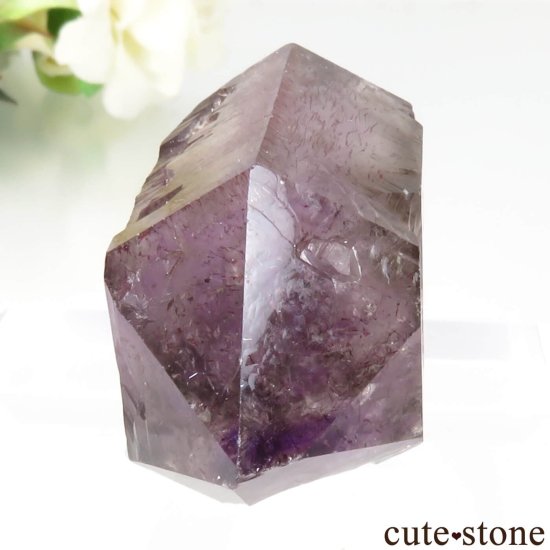 Х֥ ᥸ȡ⡼Ĥθ No.16μ̿0 cute stone