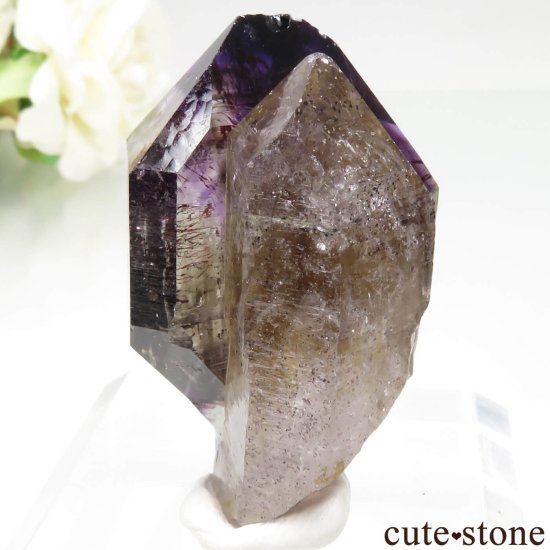 Х֥ ᥸ȡ⡼Ĥθ No.19μ̿2 cute stone