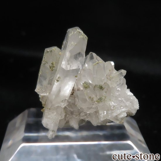 ꥫ ˥塼ᥭ San Pedro Mine ܼоʥġ徽 No.3μ̿2 cute stone