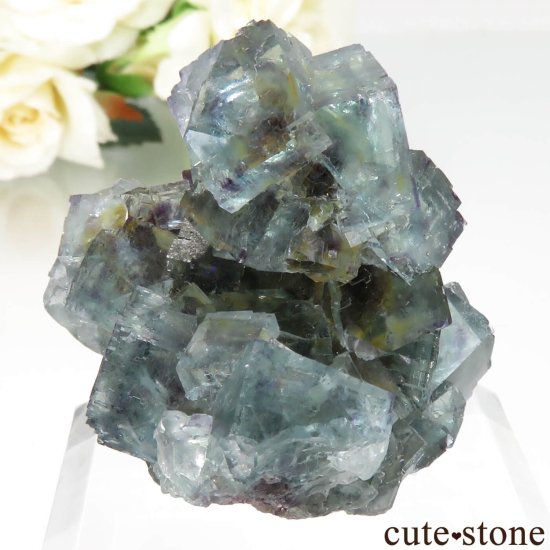 ʥߥӥ Okorusu Mine ե饤Ȥθ No.36μ̿0 cute stone