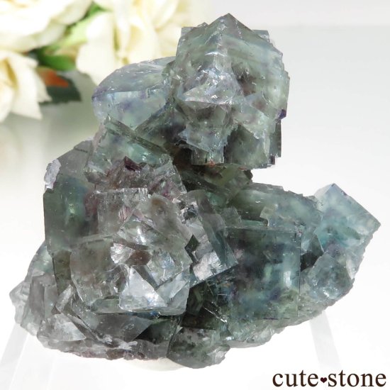ʥߥӥ Okorusu Mine ե饤Ȥθ No.36μ̿1 cute stone