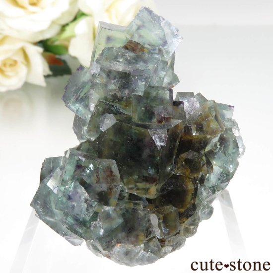 ʥߥӥ Okorusu Mine ե饤Ȥθ No.36μ̿2 cute stone