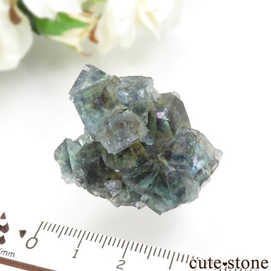 ʥߥӥ Okorusu Mine ե饤Ȥθ No.36μ̿4 cute stone