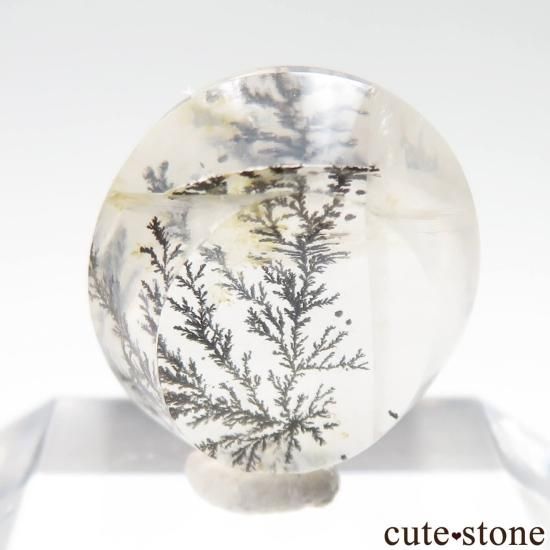 ֥饸 ߥʥ饤 ǥɥƥåĤΥ롼 No.37μ̿1 cute stone