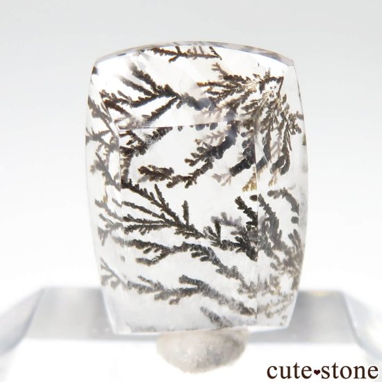 ֥饸 ߥʥ饤 ǥɥƥåĤΥ롼 No.38μ̿1 cute stone